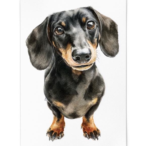 Watercolor Dachshund Dog Portrait Art Print – Unframed Fine Art Poster - Picture 2 of 5